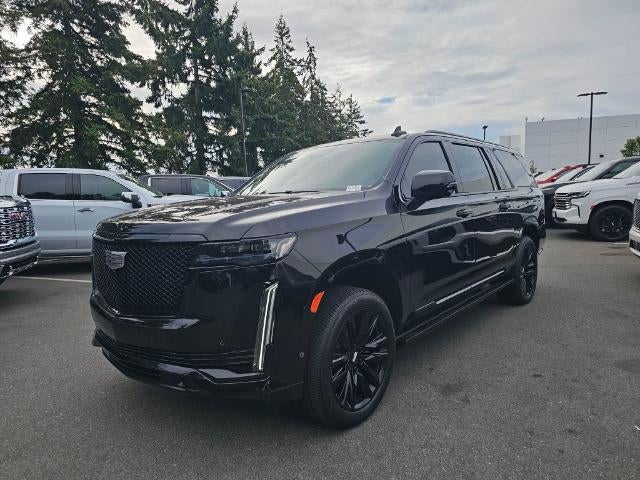 2024 Cadillac Escalade ESV Sport Platinum